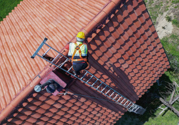 Roof Moss and Algae Removal in Baytown, TX